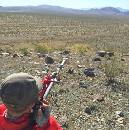 Biologist with radio telemetry antenna