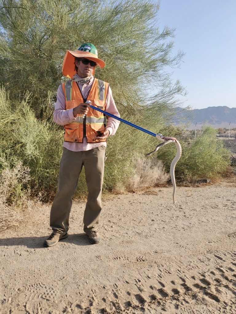 snake relocation using tongs